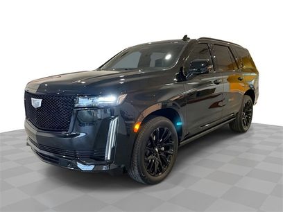 Certified 2024 Cadillac Escalade Sport Platinum w/ LPO, ONYX Package