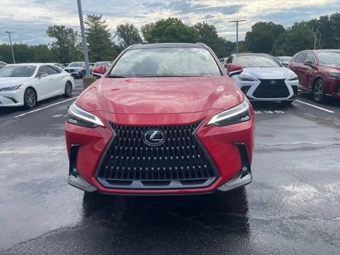 Used 2025 Lexus NX 350h AWD w/ Cold Area Package image 2