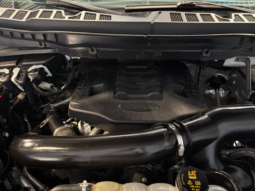 Used 2023 Ford F150 Tremor w/ Equipment Group 402A High AWD/4WD image 18