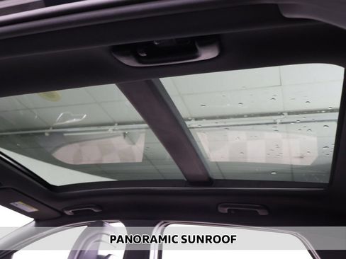 Used 2025 Kia Sportage X-Line w/ Premium Package AWD/4WD image 4