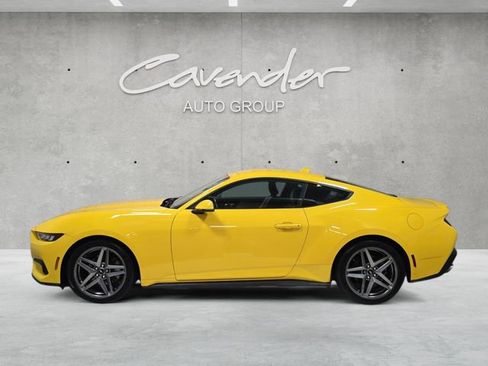 Used 2024 Ford Mustang Premium image 13