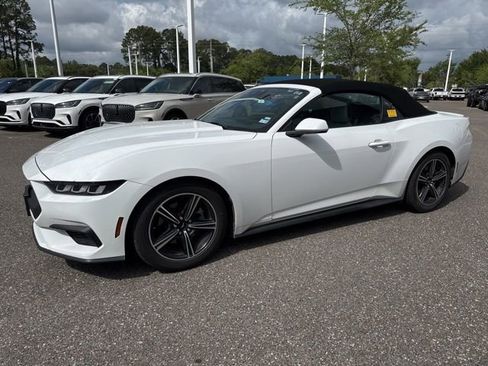 Used 2024 Ford Mustang Premium RWD image 14