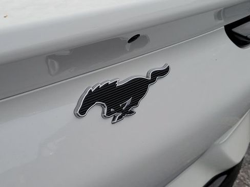 Used 2024 Ford Mustang Mach-E Premium RWD image 5