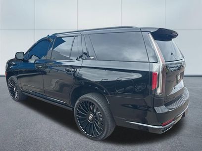 Used 2024 Cadillac Escalade Sport w/ LPO, ONYX Package