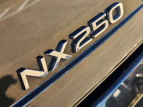 Used 2025 Lexus NX 250 250 Base w/ Accessory Package (Z1) image 12