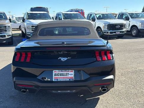New 2025 Ford Mustang Premium RWD image 4