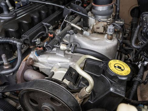 Used 1999 Jeep Wrangler Sahara AWD/4WD image 18
