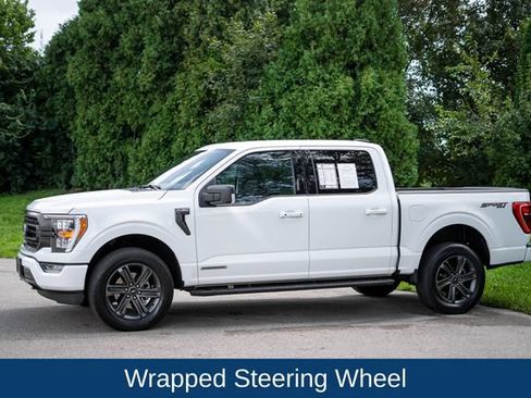 Used 2023 Ford F150 XLT w/ Equipment Group 302A High AWD/4WD image 9