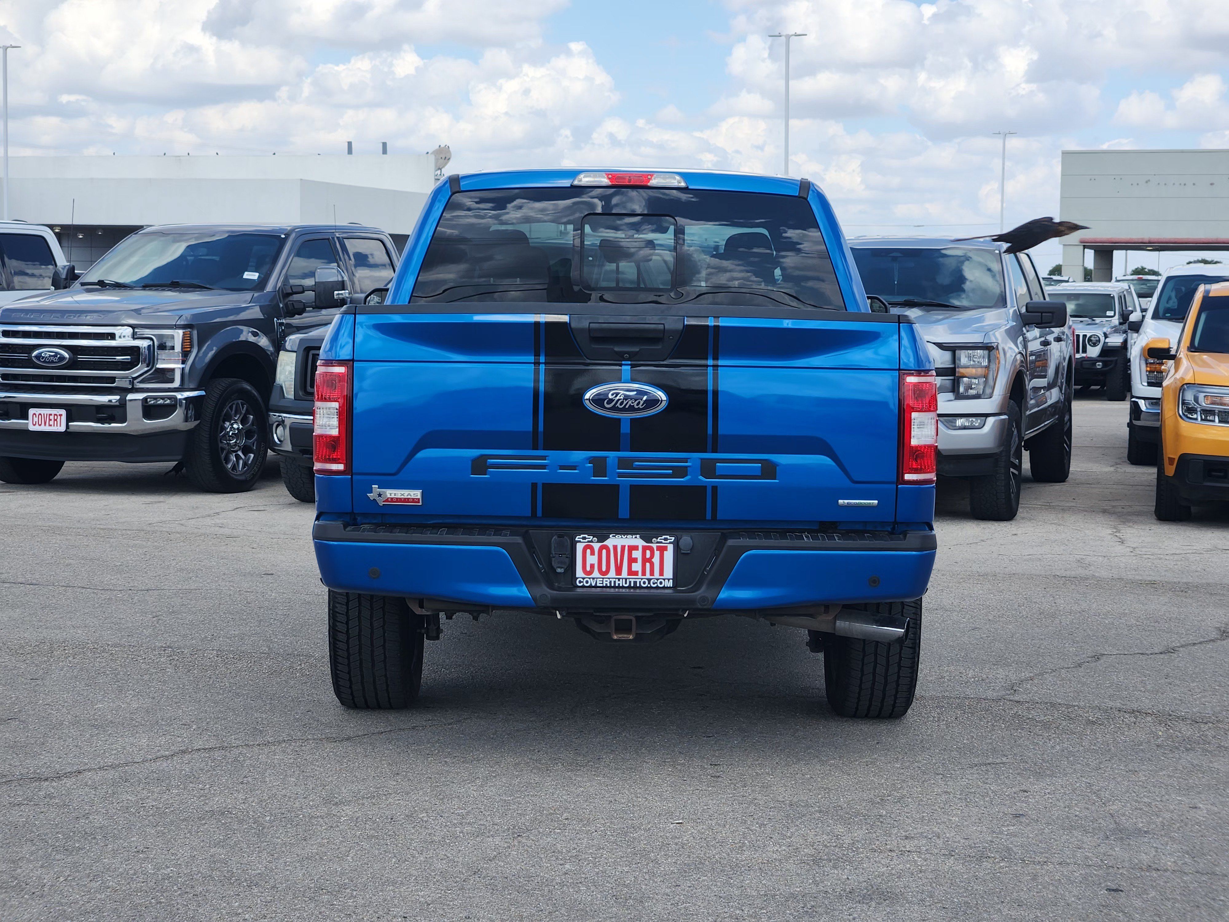 Used 2019 Ford F150 XLT w/ Equipment Group 302A Luxury AWD/4WD image 6