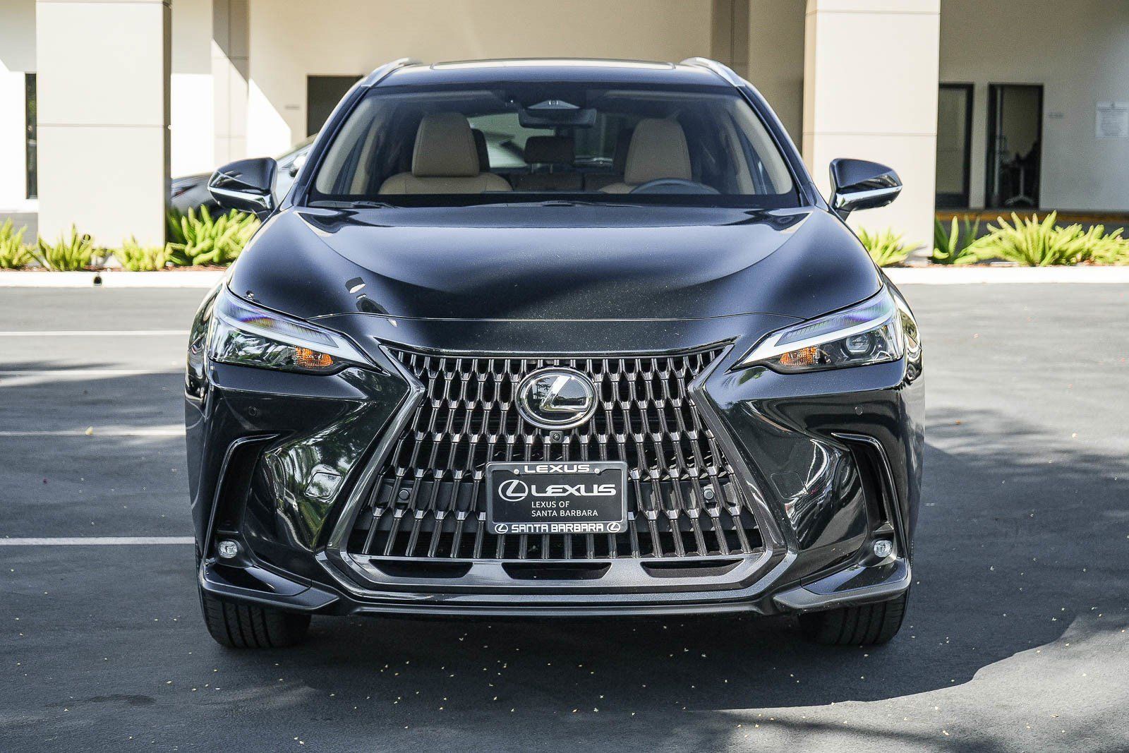 Used 2024 Lexus NX 350h AWD w/ Vision Package image 2