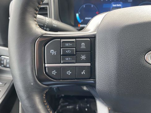 Used 2024 Ford F250 Platinum image 22