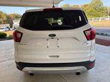 Used 2019 Ford Escape SE image 4