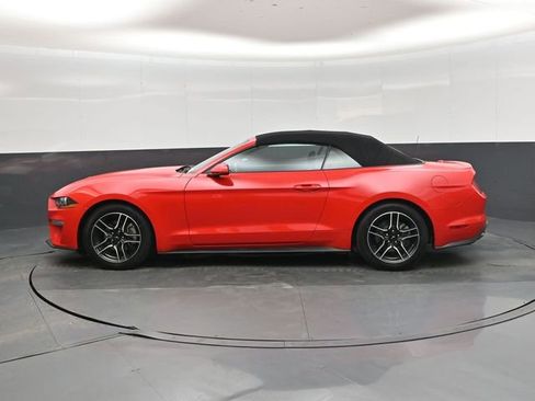 Used 2023 Ford Mustang Premium image 7