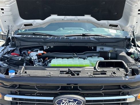 New 2025 Ford F150 XLT w/ Equipment Group 302A MID image 41