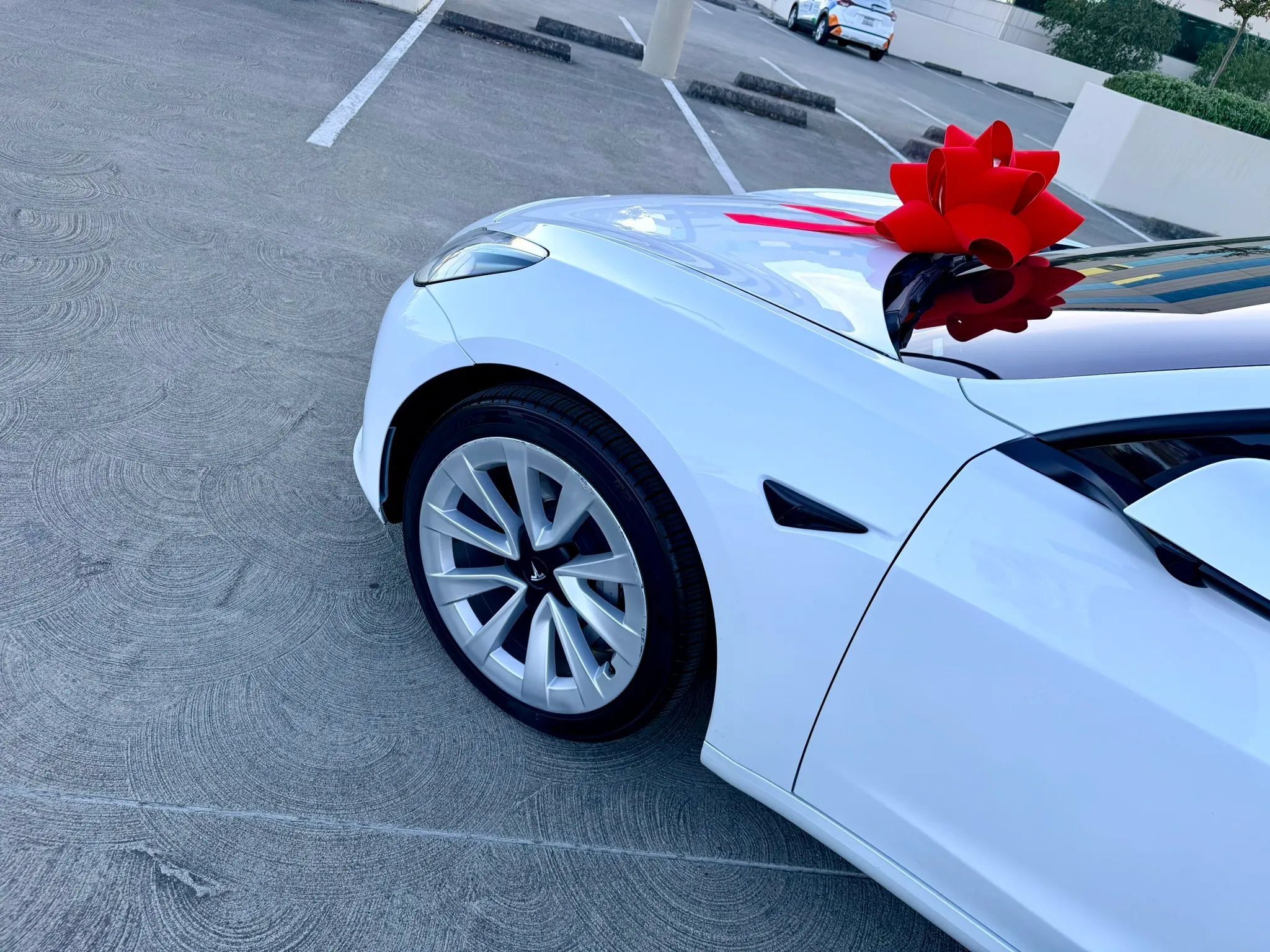 Used 2023 Tesla Model 3 Standard Range RWD image 10