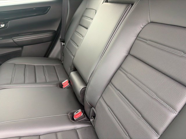 Used 2025 Honda CR-V EX-L image 9