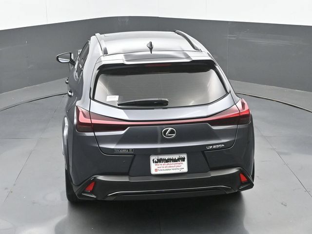 Used 2024 Lexus UX 250h F Sport FWD image 30