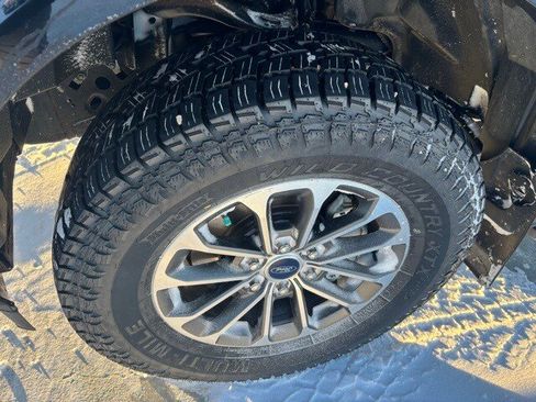 Used 2019 Ford F150 XLT w/ Equipment Group 301A Mid image 10