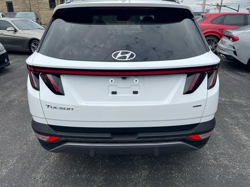 Used 2022 Hyundai Tucson Limited image 6