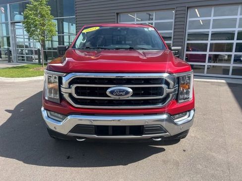 Used 2021 Ford F150 XLT w/ Equipment Group 302A High AWD/4WD image 2