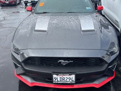 Used 2020 Ford Mustang Premium w/ Equipment Group 201A RWD image 1