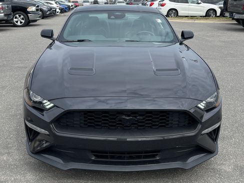 Used 2023 Ford Mustang Premium w/ Mustang Nite Pony Package image 3
