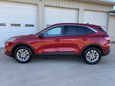 Used 2022 Ford Escape SE image 4