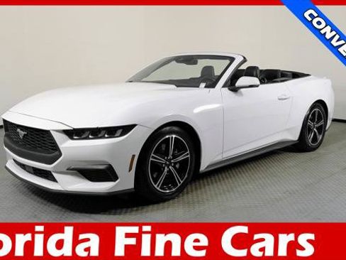 Used 2024 Ford Mustang Premium RWD image 1