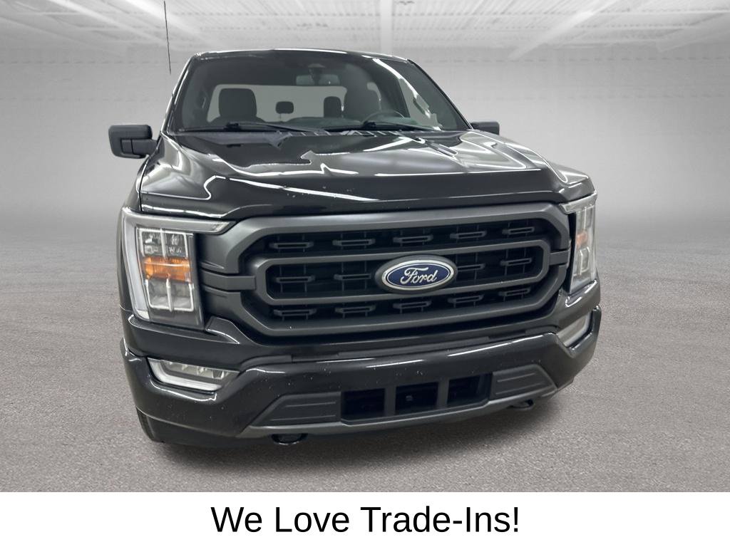 Used 2023 Ford F150 XLT w/ Equipment Group 302A High AWD/4WD image 3