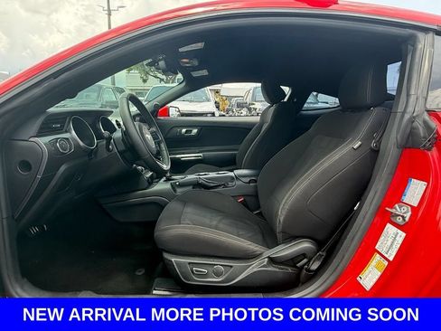 Used 2019 Ford Mustang Coupe w/ Ecoboost Performance Package RWD image 6