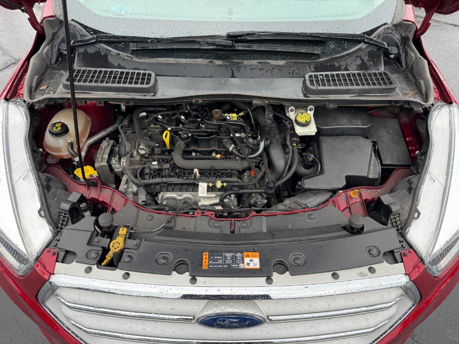 Used 2019 Ford Escape SE AWD/4WD image 24
