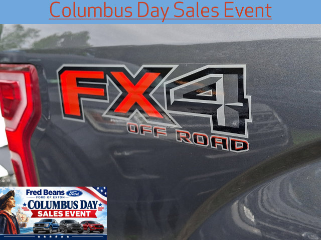 Used 2019 Ford F150 XLT w/ Equipment Group 302A Luxury AWD/4WD image 11