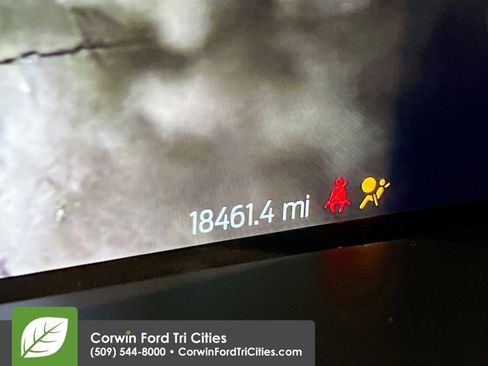 Used 2024 Ford F150 XLT w/ Equipment Group 302A MID image 2