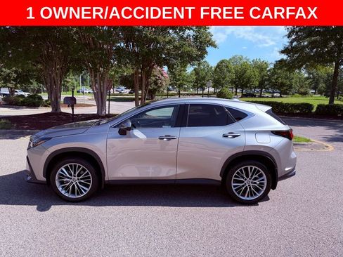 Certified 2025 Lexus NX 350 AWD w/ Cold Area Package image 4