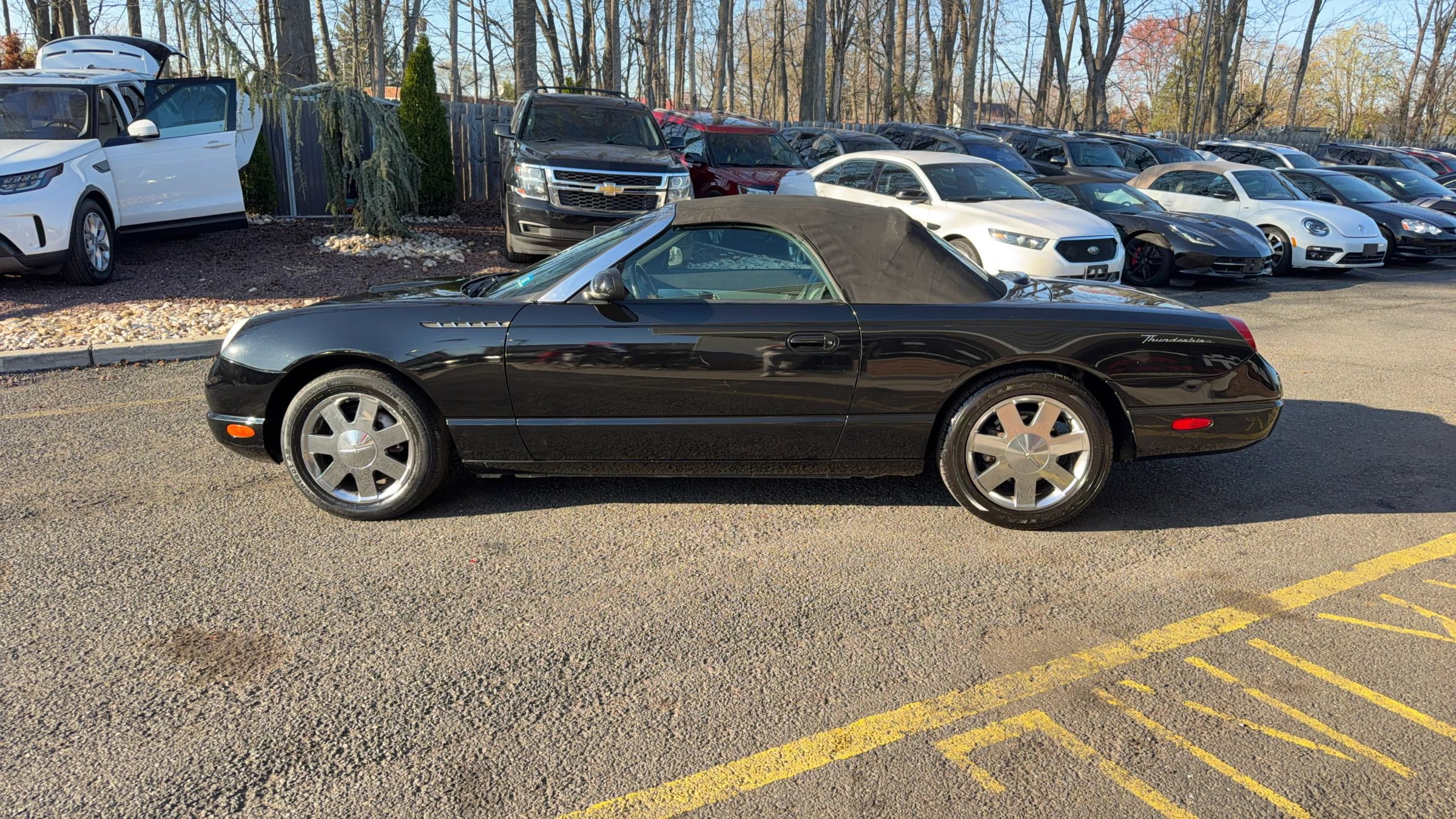 Used 2002 Ford Thunderbird RWD image 32