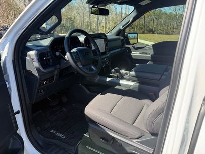 Used 2025 Ford F150 XLT w/ Equipment Group 302A MID