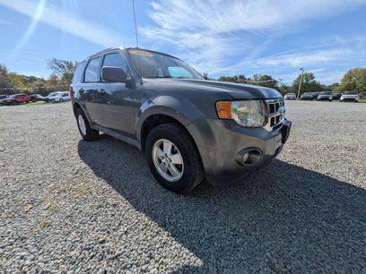 Used 2012 Ford Escape XLT