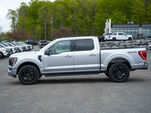 Used 2023 Ford F150 XLT w/ Equipment Group 302A High AWD/4WD image 8