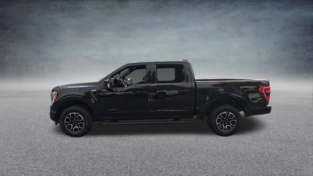 Used 2023 Ford F150 XLT w/ Equipment Group 302A High AWD/4WD image 8