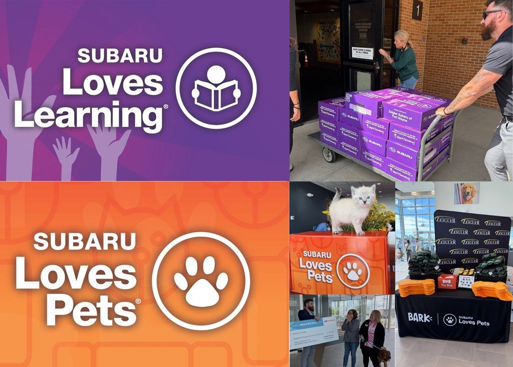 Used 2024 Subaru Forester Wilderness AWD/4WD image 7
