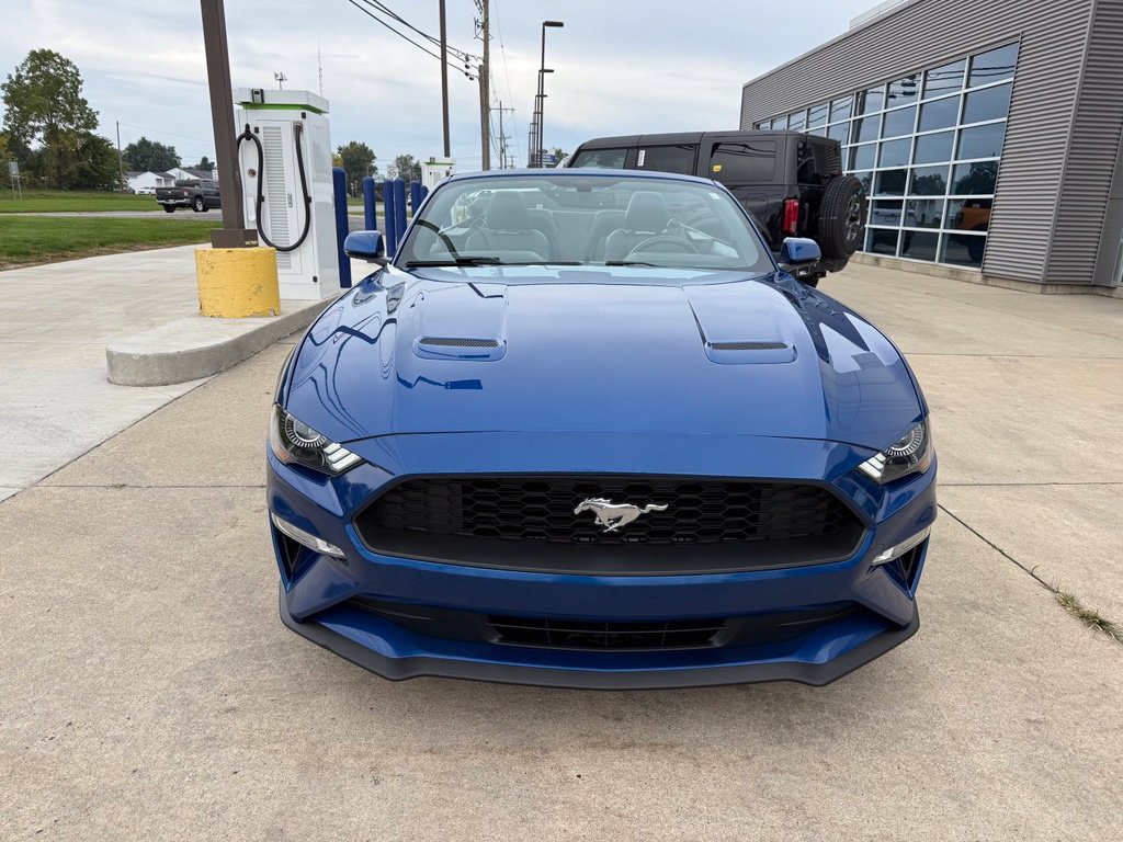 Used 2018 Ford Mustang Premium w/ Equipment Group 201A RWD image 6