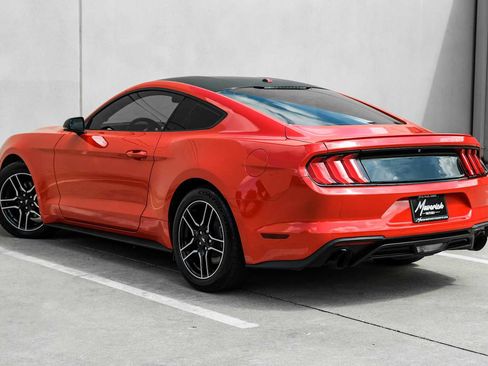 Used 2019 Ford Mustang Premium RWD image 10