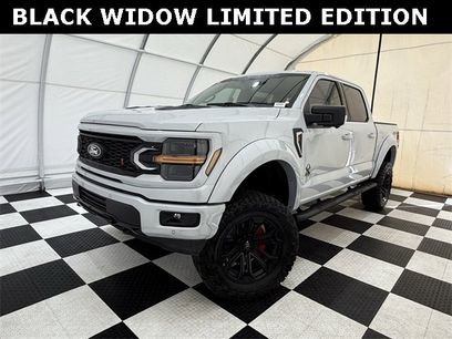 New 2025 Ford F150 XLT w/ Equipment Group 303A High