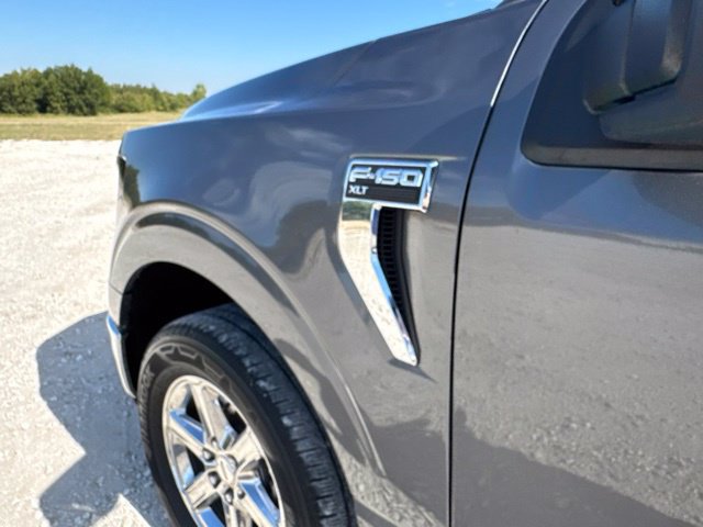 Used 2025 Ford F150 XLT w/ Equipment Group 301A Standard RWD image 8