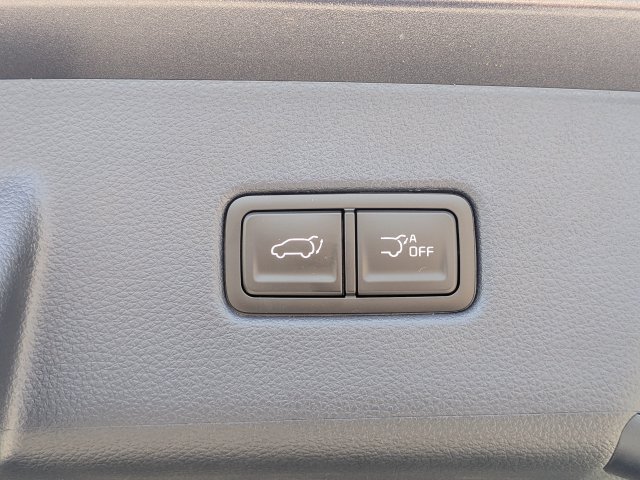 New 2026 Kia Carnival SX FWD image 14