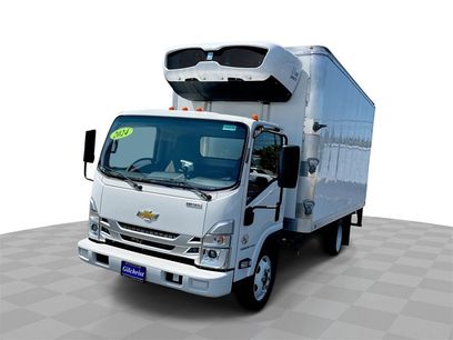 New 2024 Chevrolet Low Cab Forward 5500XD