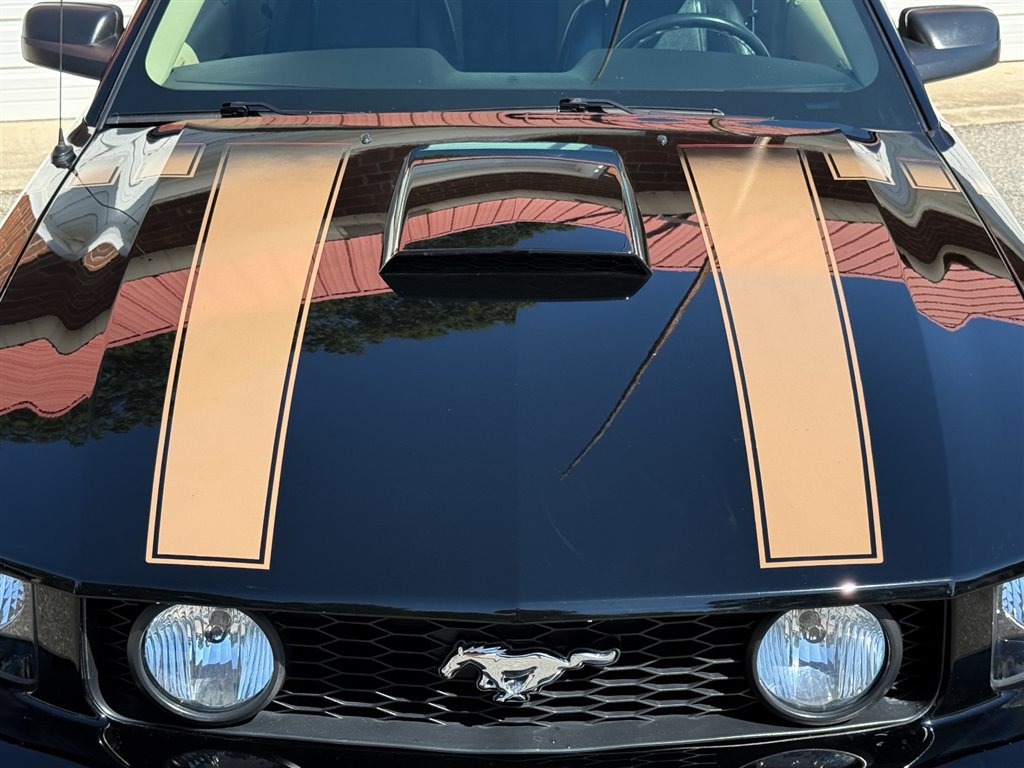 Used 2007 Ford Mustang GT RWD image 15