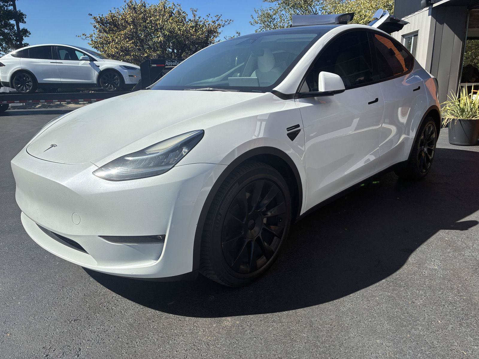 Used 2023 Tesla Model Y Long Range AWD/4WD image 2