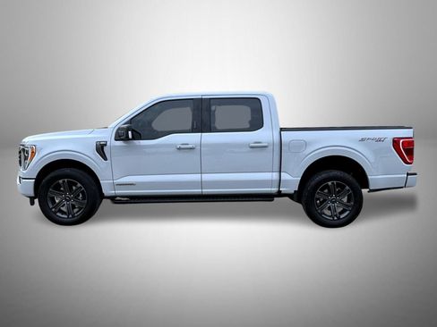 Used 2023 Ford F150 XLT w/ Equipment Group 302A High AWD/4WD image 8