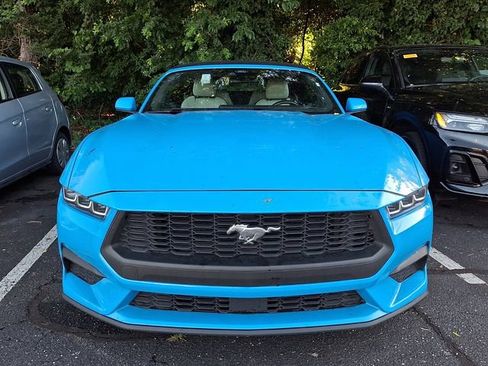 Used 2024 Ford Mustang Premium RWD image 2